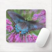 Von oben mousepad (Mit Mouse)