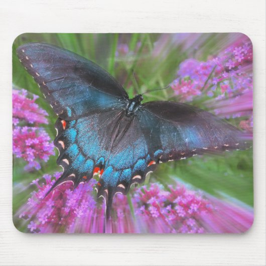Von oben mousepad (Vorne)
