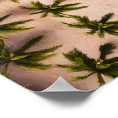 Von oben nach unten blickt man auf Palmen und den Poster (Ecke)