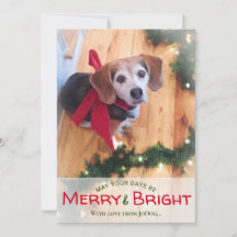Von Pet & Family Foto Merry & Bright Christmas H