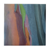  von Rainbow-Gum Fliese (Vorderseite)