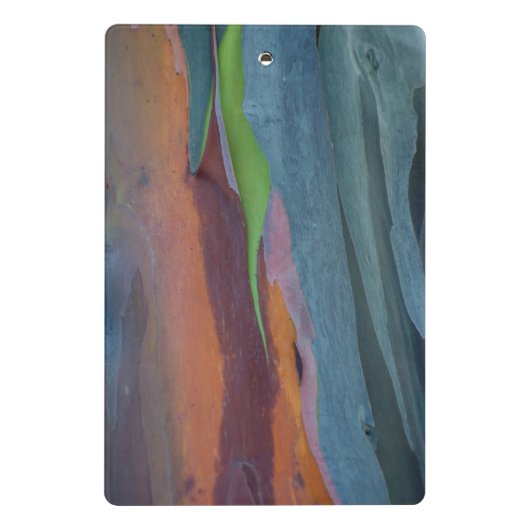  von Rainbow-Gum Mini Klemmbrett (Rückseite)