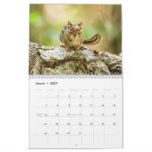 Von Shenandoah bis Massanutten Kalender (Mär 2027)