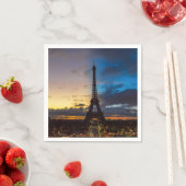 Von Trocadero aus können Sie den Eiffelturm von Ta Serviette (Beispiel)