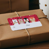 Von und nach Rentier, Eisbär, Pinguin & Fox