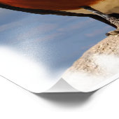 Von vorne gesehen, wunderschöner Star Fotodruck (Ecke)