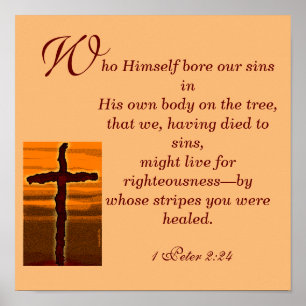 Von wem waren Sie geheilt? Poster