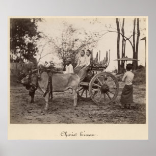 Von zwei Ochsen gezogener Karren in Mandalay, Burm Poster