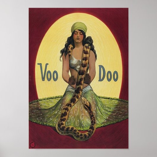 Voo Doo Poster (Vorne)