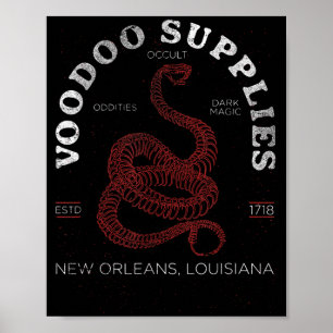 Voodoo-Bedarf New Orleans Louisiana Y Okkultismus Poster
