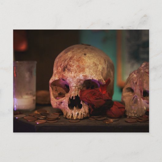 Voodoo Hoodoo aus New Orleans Postkarte (Vorderseite)