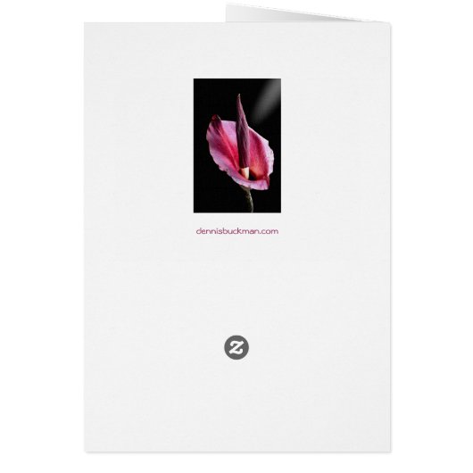 Voodoo Lily Cards (Hinten)