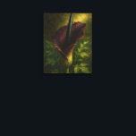 Voodoo Lily: Toxic Elegance Impressionist Art Leinwanddruck<br><div class="desc">A masterfully rendered painting of the Amorphophallus, notoriously known as the Voodoo Lily. Part of the 'Toxic Elegance' collection, this piece captures the massive, velvet-textured burgundy spathe and central spadix with thick, expressive impasto-style brushwork. Bathed in a dramatic, atmospheric light that creates a warm, internal radiance against deep, velvety shadows,...</div>
