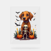 Voodoo Vizsla Dog Acrylschild (Vorderseite)