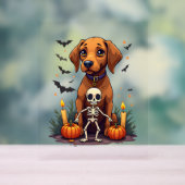 Voodoo Vizsla Dog Acrylschild (Neutral)