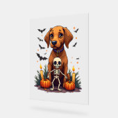 Voodoo Vizsla Dog Acrylschild (Winkel)