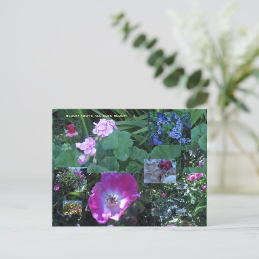 vor allem blühen postkarte (Stehend Vorderseite)