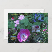 vor allem blühen postkarte (Vorne/Hinten)