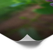 Vor dem Wein Poster (Ecke)