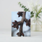 Vor der Blossom Postkarte (Stehend Vorderseite)