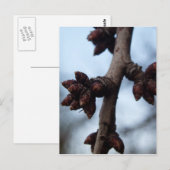 Vor der Blossom Postkarte (Vorne/Hinten)