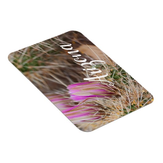 Vor der Blüte Arizona Magnet (Rechte Seite)