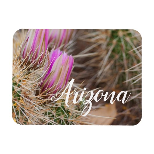 Vor der Blüte Arizona Magnet (Horizontal)