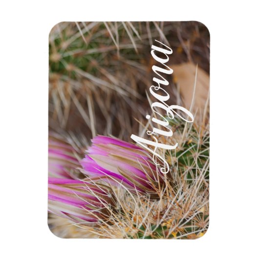 Vor der Blüte Arizona Magnet (Vertikal)