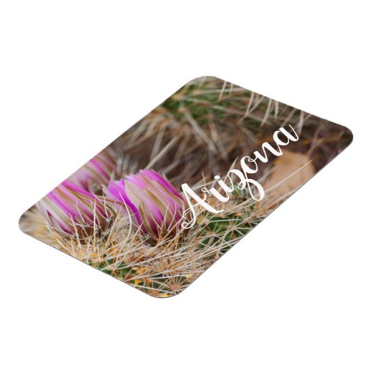 Vor der Blüte Arizona Magnet (Linke Seite)