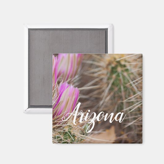 Vor der Blüte Arizona Magnet (Vorderseite/Rückseite)