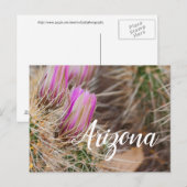 Vor der Blüte Arizona Postkarte (Vorne/Hinten)