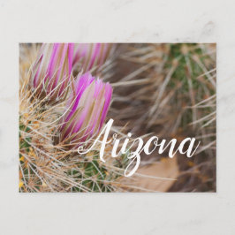 Vor der Blüte Arizona Postkarte