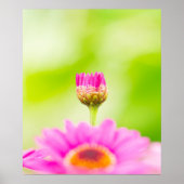 Vor der Blüte Poster (Vorne)