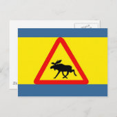 vor Elch Postkarte (Vorne/Hinten)