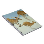 Voran springen notizblock (Rechte Seite)