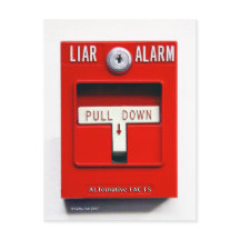 Vorangehendes Donald J.Trump Feuer Trump Postcard