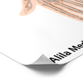 Vorarmmuskulatur-Vorderansicht Poster (Ecke)