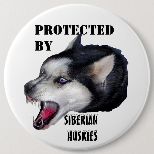 VORBEI GESCHÜTZT, SIBIRISCHER HUSKIES-KNOPF BUTTON (Vorderseite)