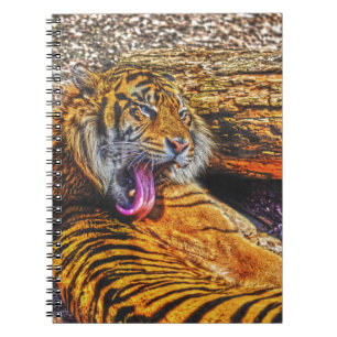 Vorbereiten von Sumatran Tiger Big Cat Wildlife Notizblock