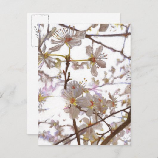 Vorbereitung 2014 postkarte (Vorne/Hinten)