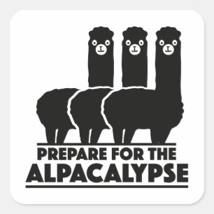 Vorbereitung auf die Alpacalypse Quadratischer Aufkleber