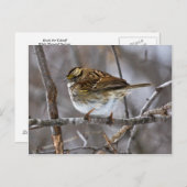 Vorbereitung für die Postkartonabnahme Postkarte (Vorne/Hinten)