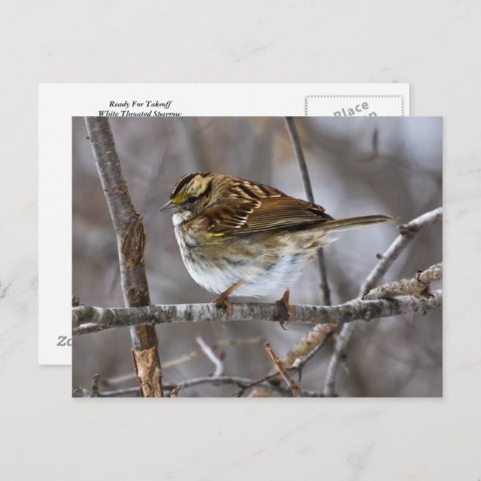 Vorbereitung für die Postkartonabnahme Postkarte (Vorne/Hinten)