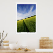 Vorbereitung Poster (Küche)