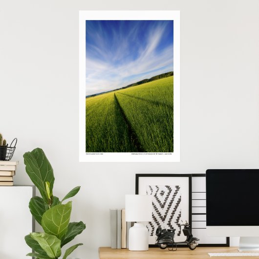 Vorbereitung Poster (Heimbüro)