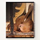 Vorbereitungshandbuch Notizblock (Rückseite)