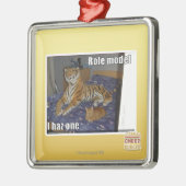 Vorbild, I haz eins Silbernes Ornament (Links)