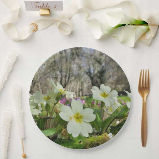 Vorbote des Frühjahrspapiers Pappteller (Hochzeit)