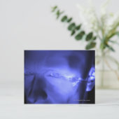 Vorderansicht des Innenohrs Postkarte (Stehend Vorderseite)