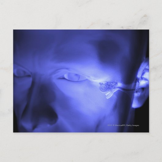 Vorderansicht des Innenohrs Postkarte (Vorderseite)